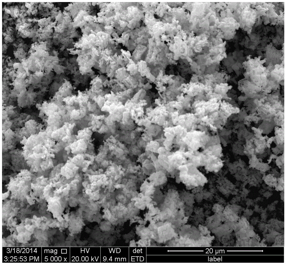 Sodium-rich cathode material of sodium ion battery, preparation method of sodium-rich cathode material and sodium ion battery