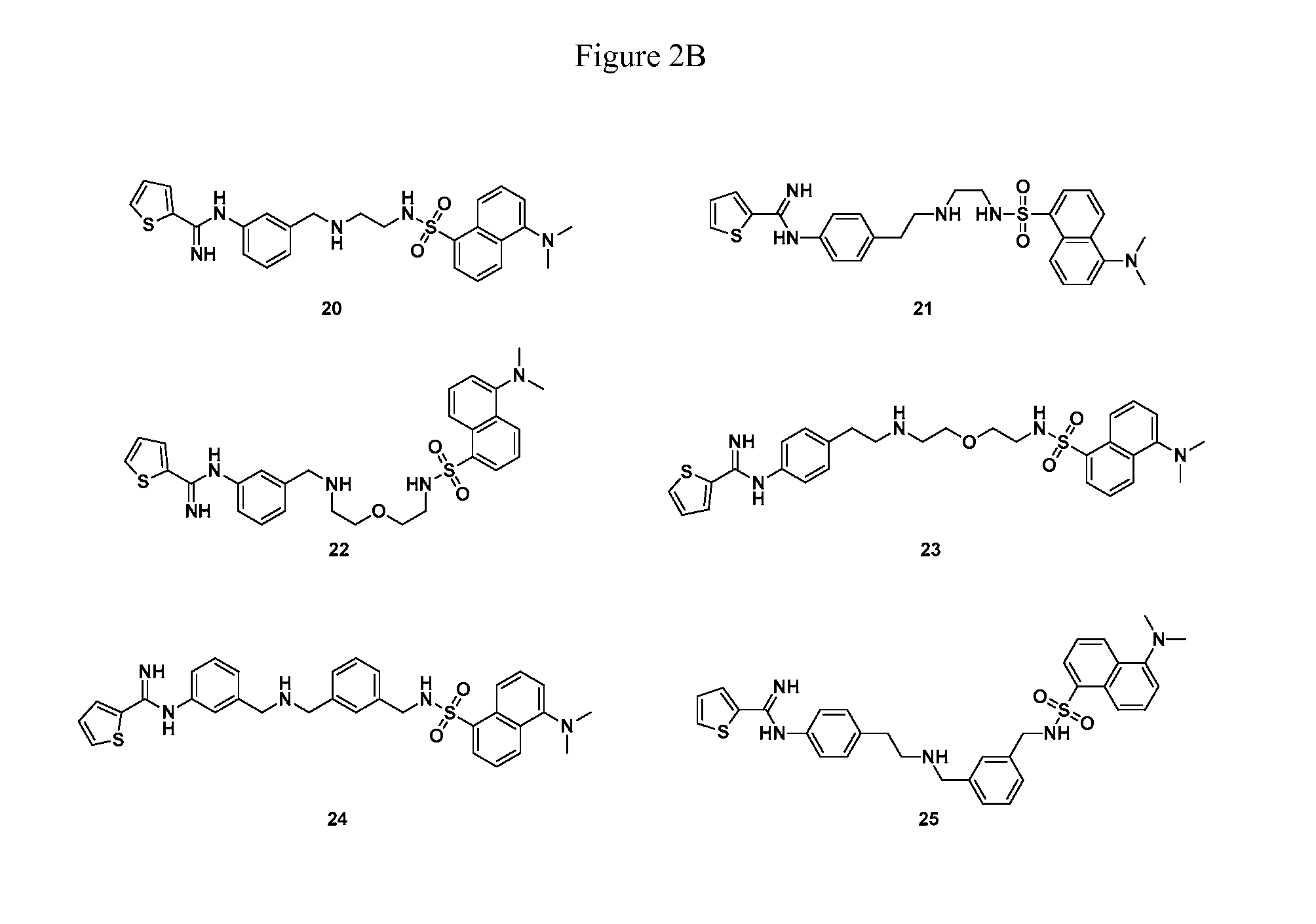 Thiophene-2-carboximidamide based selective neuronal nitric oxide inhibitors