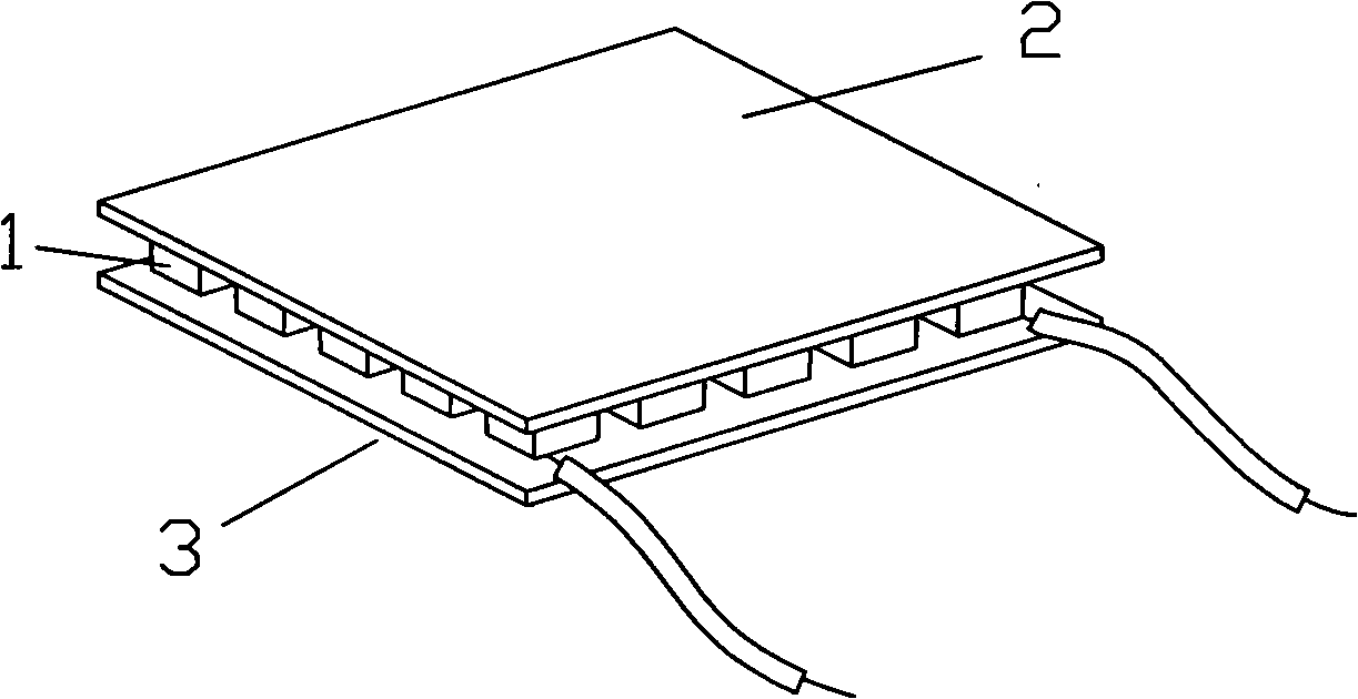 Semiconductor refrigerated fruit tray