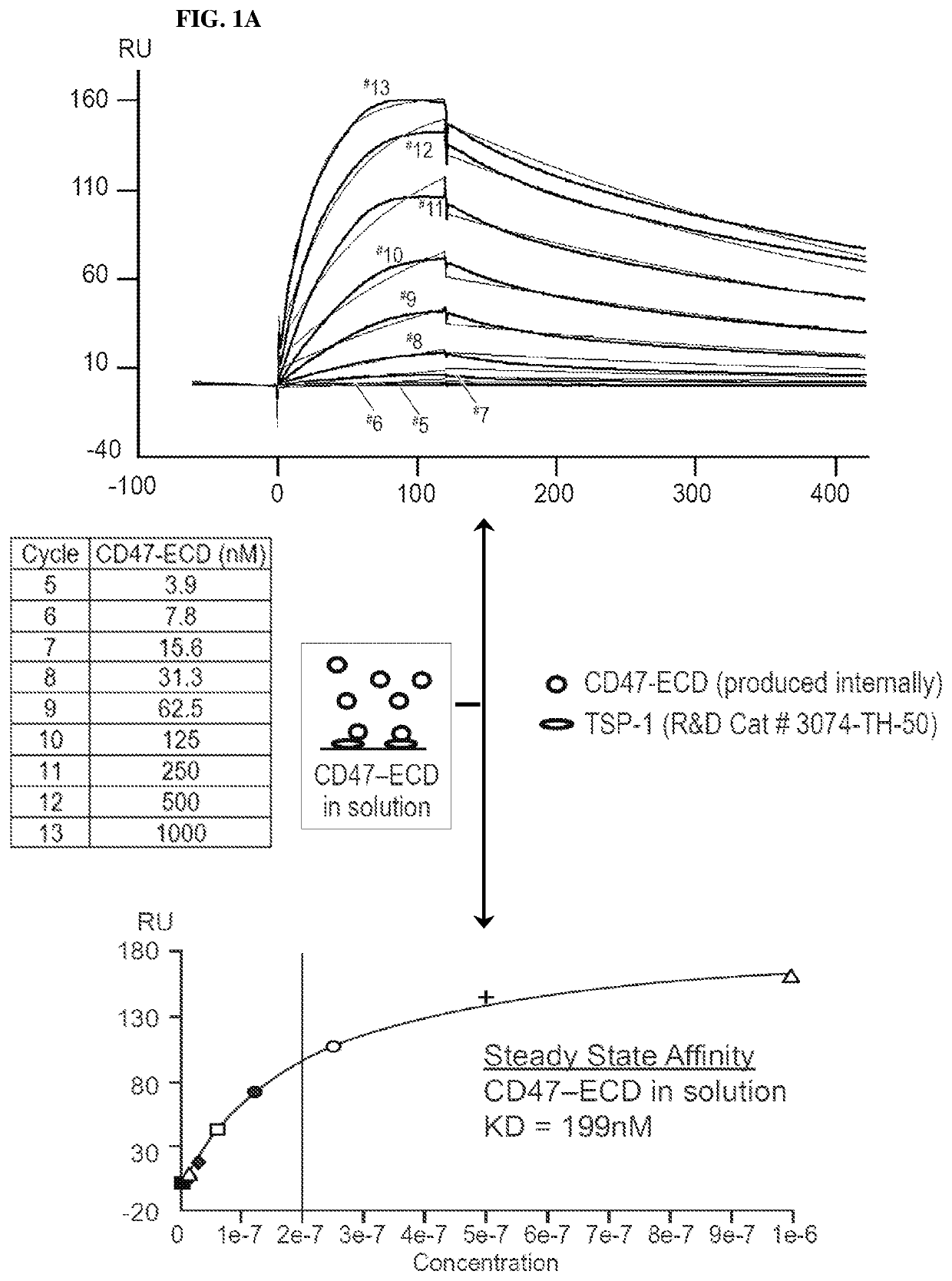 Cd47 antibodies and methods of use thereof