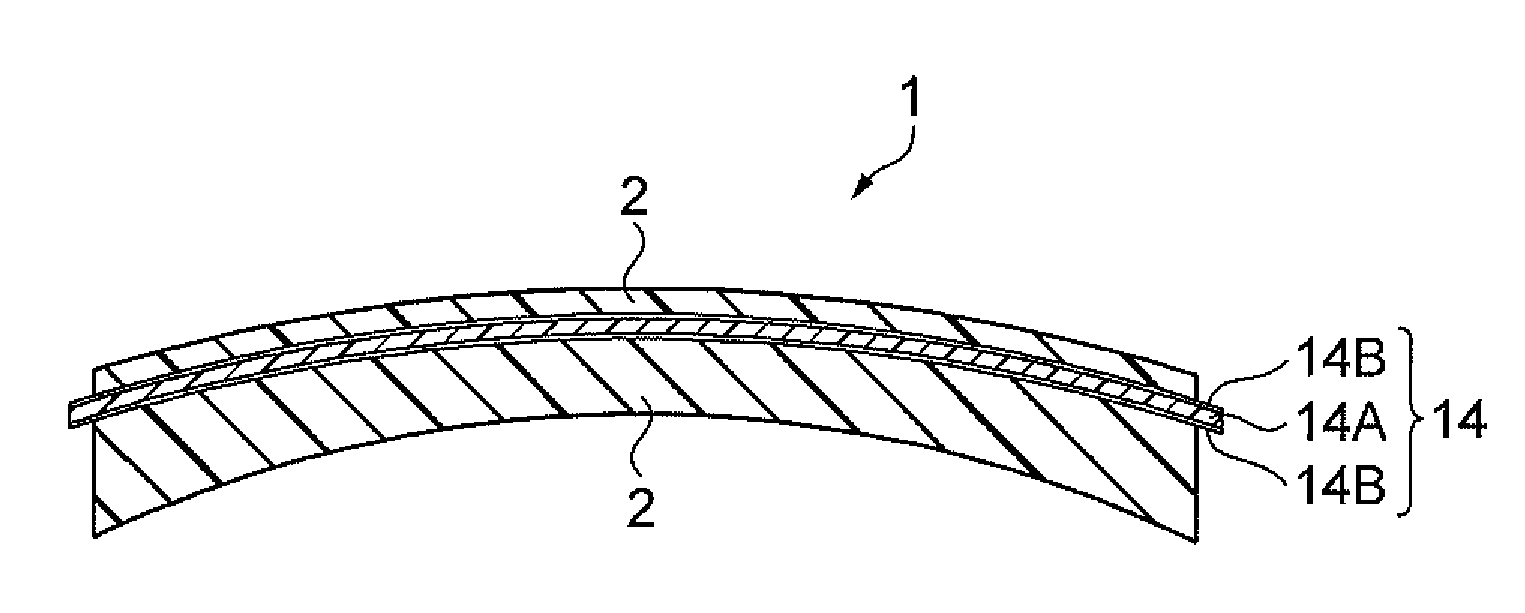 Plastic Polarized Lens