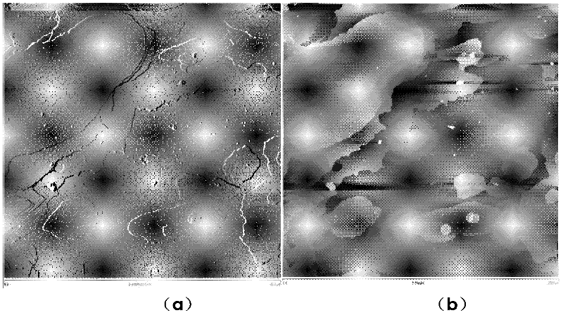 Preparation method of completely peeled oxidation graphene/ rubber nanometer composite material