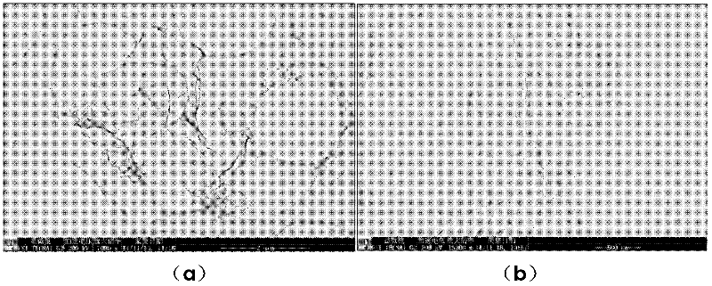 Preparation method of completely peeled oxidation graphene/ rubber nanometer composite material