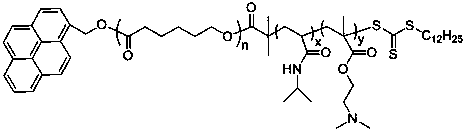 Preparation method of temperature and CO2 double-responsive block copolymer nano micelle