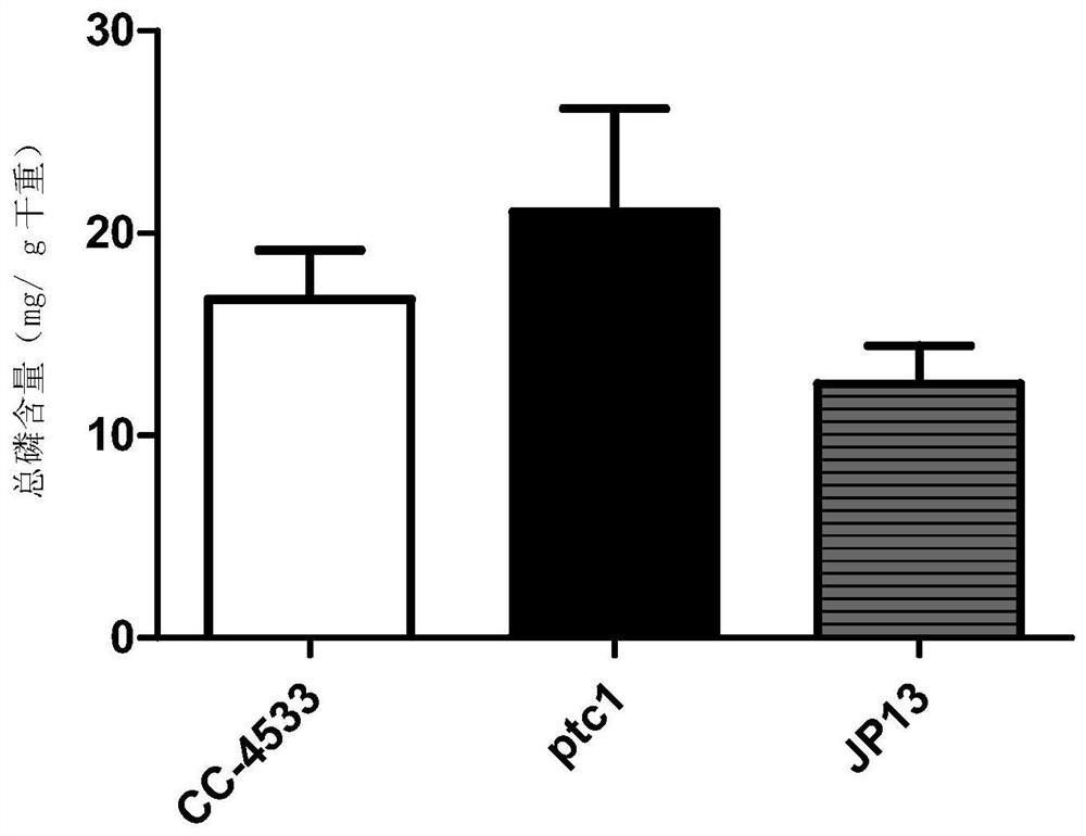 A method and application of increasing algae total phosphorus and polyphosphoric acid content through ptc gene manipulation