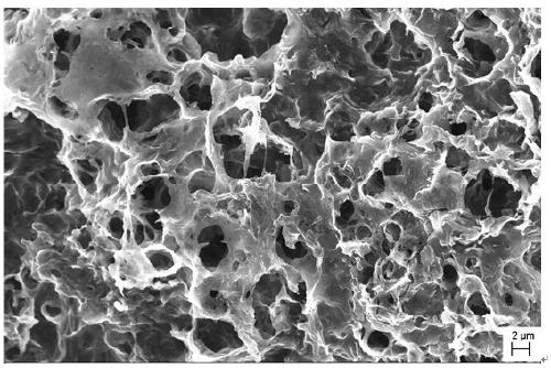 Preparation method and application of porous graphene film