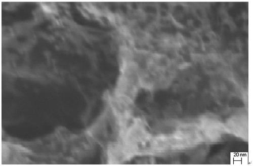 Preparation method and application of porous graphene film