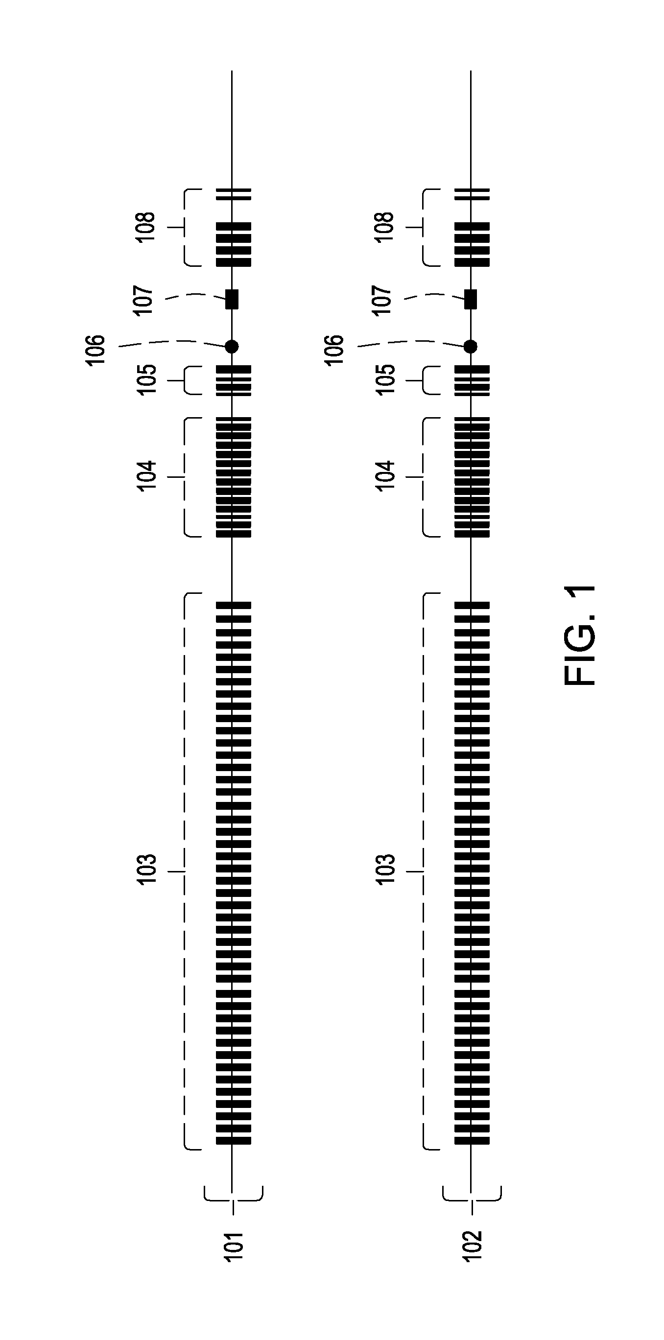 Enhanced production of immunoglobulins