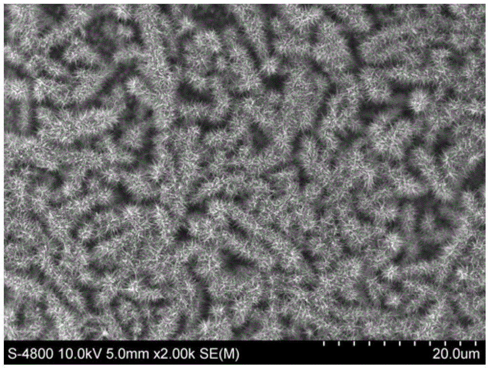 Preparation method of silver dendrite and silicon tip nanocomposite with cactus structure