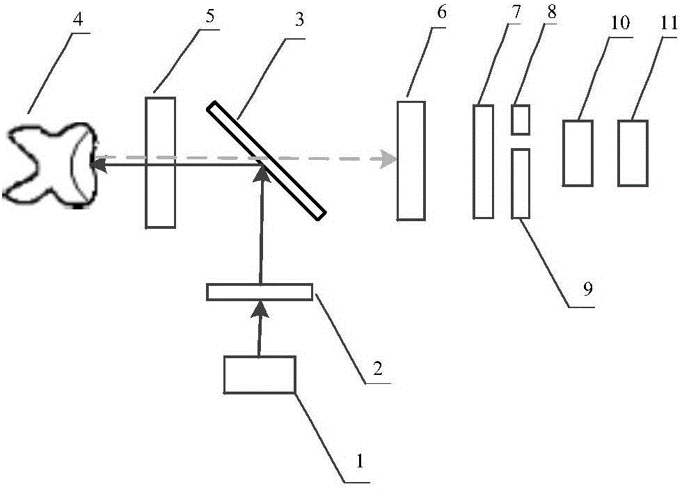 Dental plaque quantitative detection apparatus using array detector to realize fluorescence/energy ratio