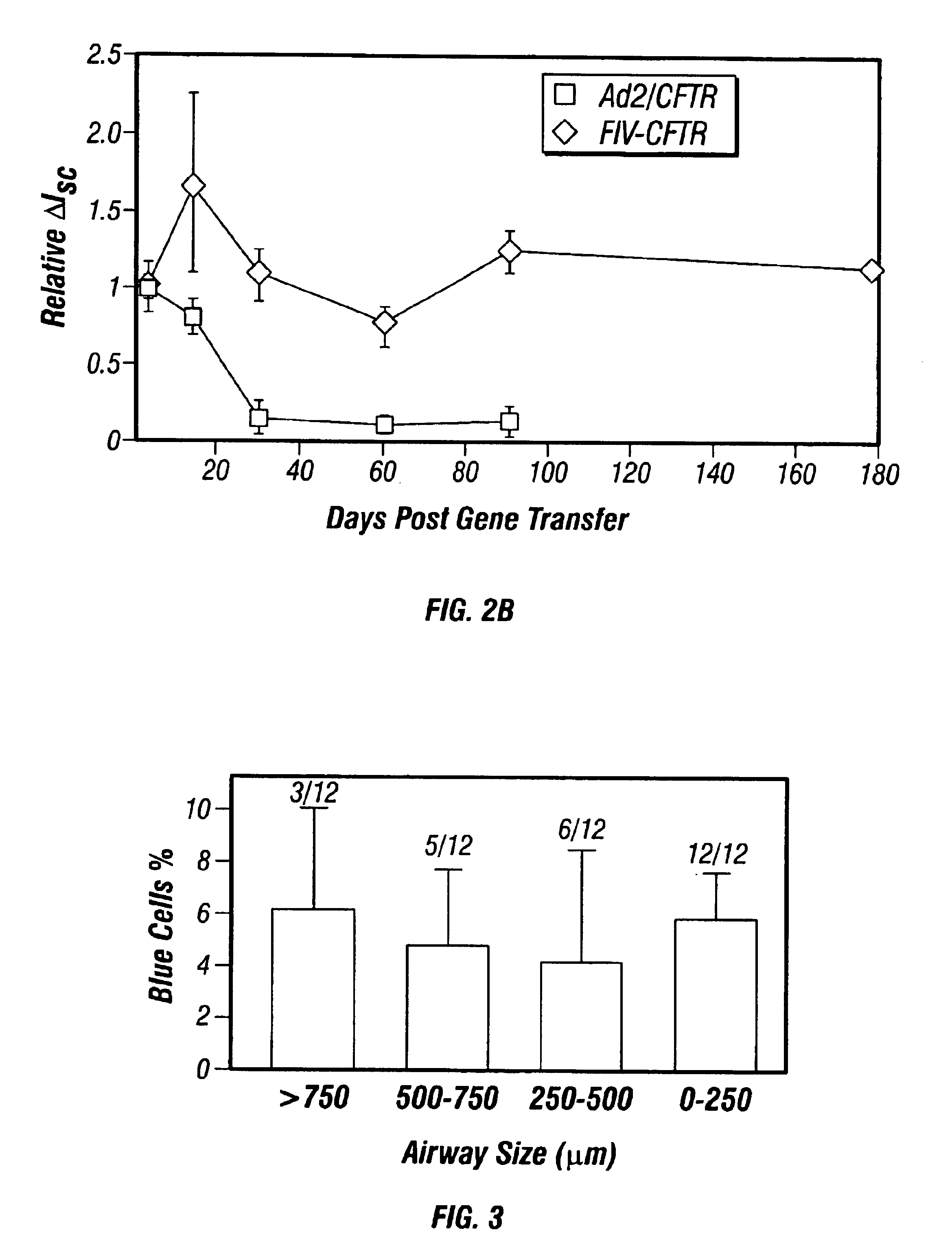 Methods and compositions for increasing the infectivity of gene transfer vectors