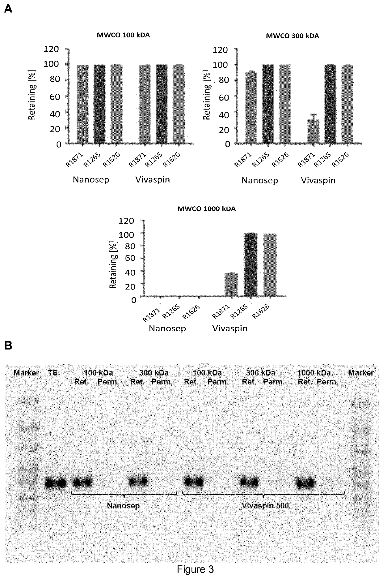 Method for producing and purifying RNA, comprising at least one step of tangential flow filtration