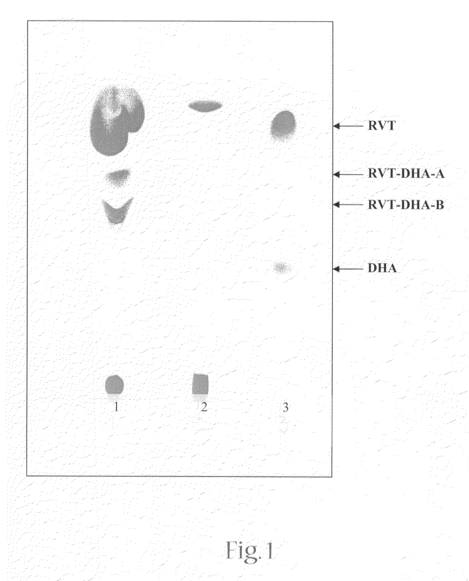 Fatty acid phenolic conjugates