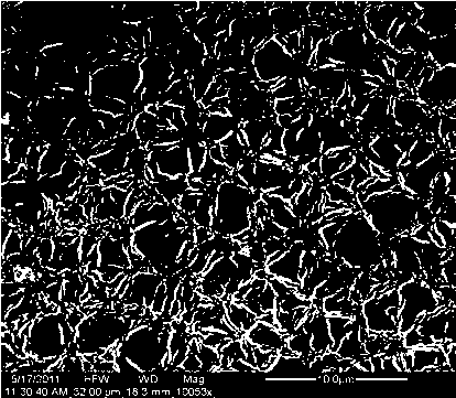 Preparation method for cellulose ether-sodium alginate-tetraethylortho silicate pervaporation and hybrid membrane