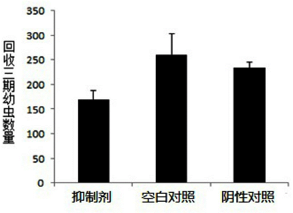 Roundworm mi RNA inhibitor and application thereof