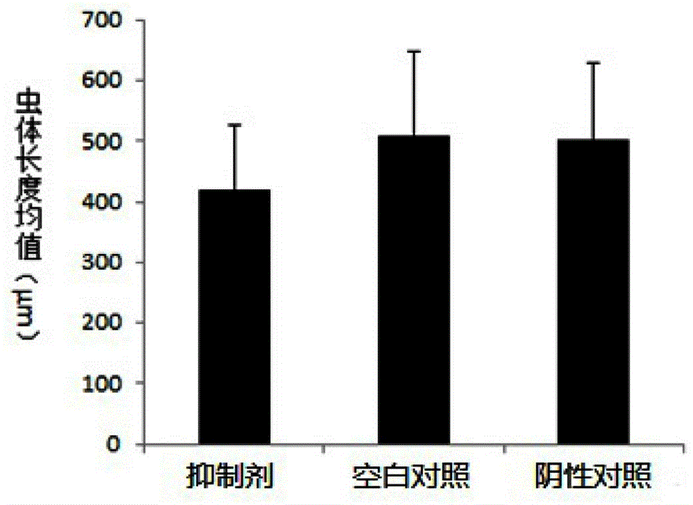 Roundworm mi RNA inhibitor and application thereof