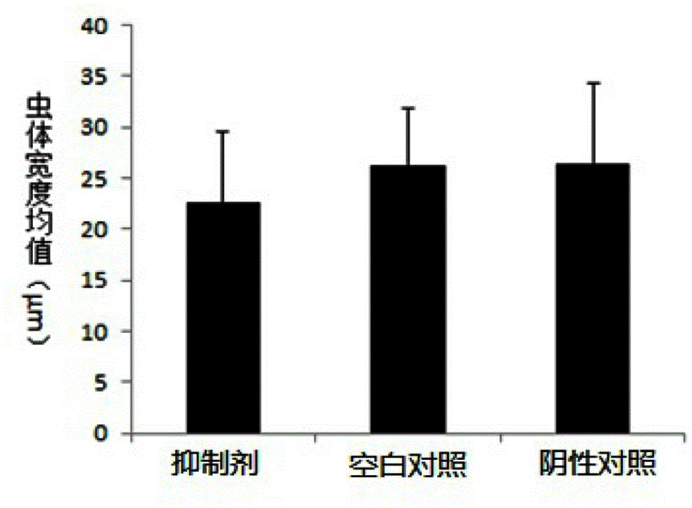 Roundworm mi RNA inhibitor and application thereof