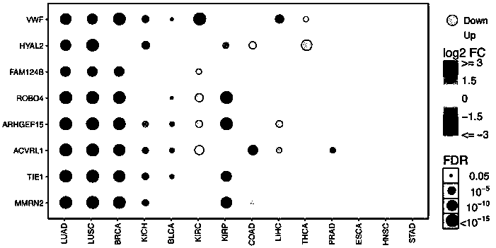 Endothelial cell markers and kit for predicting cancer immunotherapy effect