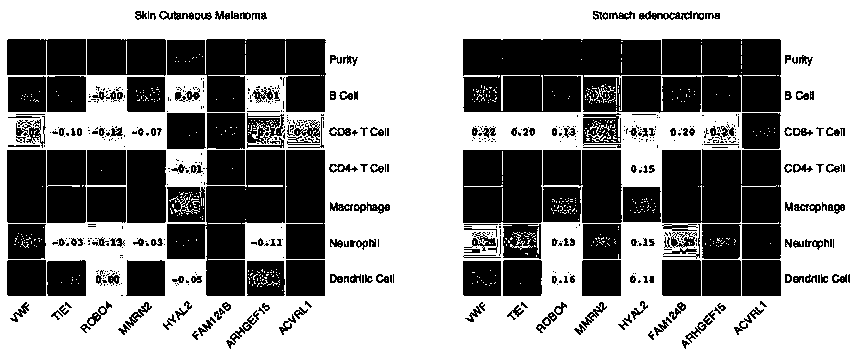 Endothelial cell markers and kit for predicting cancer immunotherapy effect