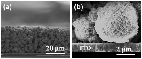 Dual-layer zinc oxide photoanode structure and photovoltaic application