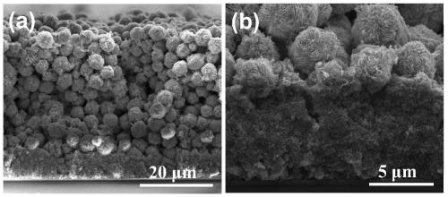 Dual-layer zinc oxide photoanode structure and photovoltaic application