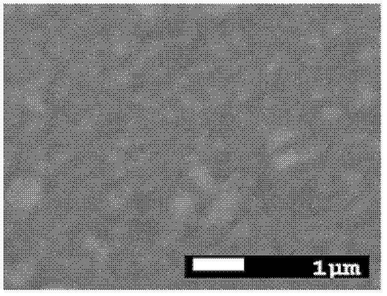 Method for preparing high-temperature superconducting coating conductor CeO2 buffer layer film on biaxial texture NiW alloy substrate