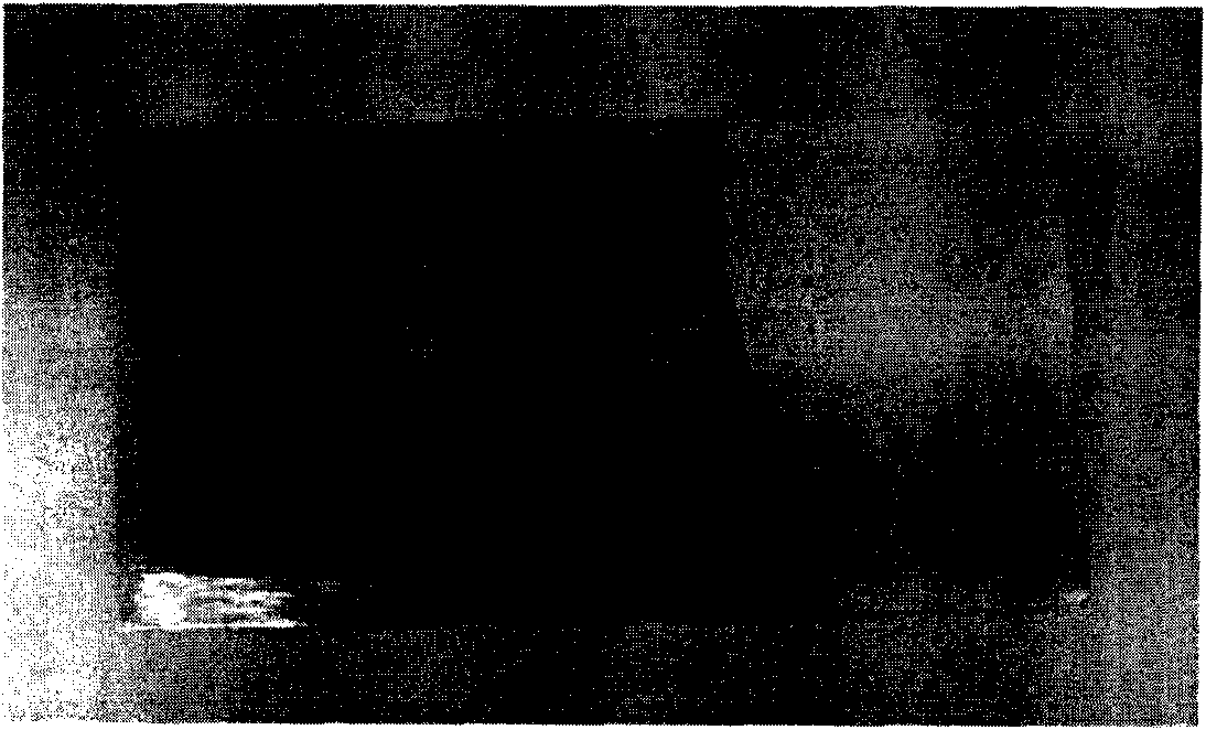 Method for preparing metal surface fullerene film by electrophoresis