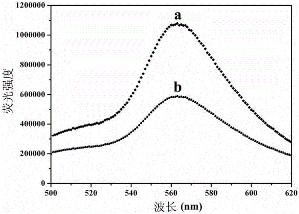 A quantum dot/epoxy resin nanocomposite material with high transparency and high fluorescence efficiency, its preparation and application