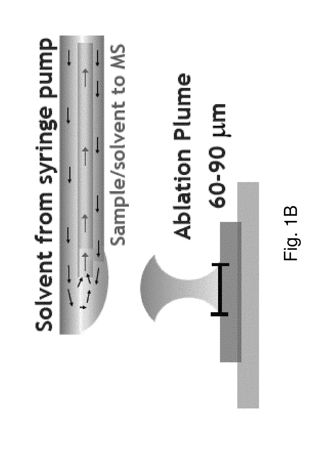 Ambient infrared laser ablation mass spectrometry (AIRLAB-MS) with plume capture by continuous flow solvent probe