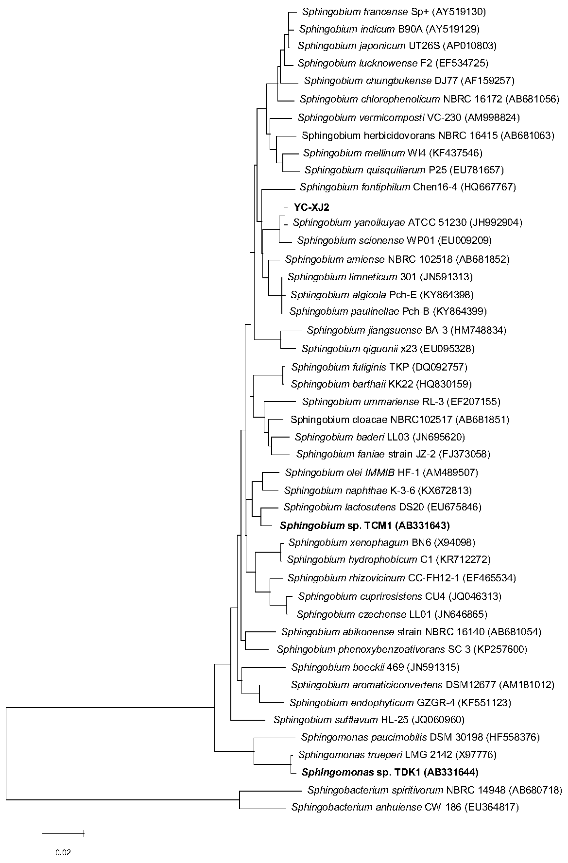 Sphingobium yanoikuyae with function of degrading triphenyl phosphate