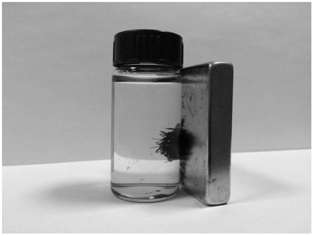 A biomass-based adsorption material used for removing harmful anions from water and a preparing method thereof