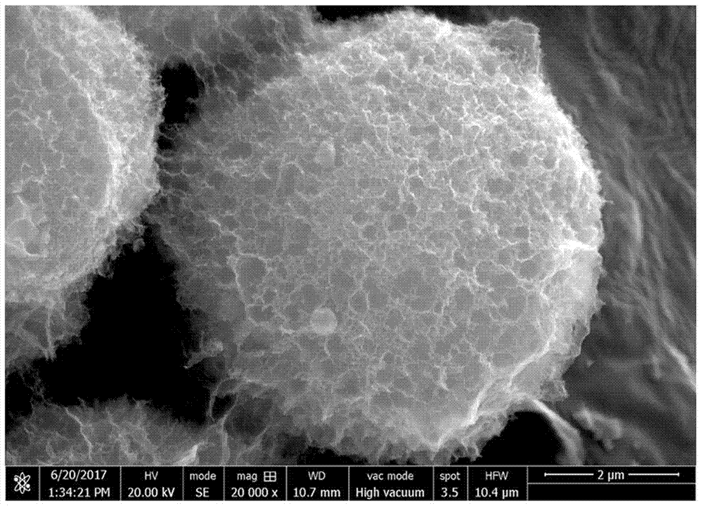 Nitrogen-doped grading porous carbon microspheres, and preparation method and application thereof