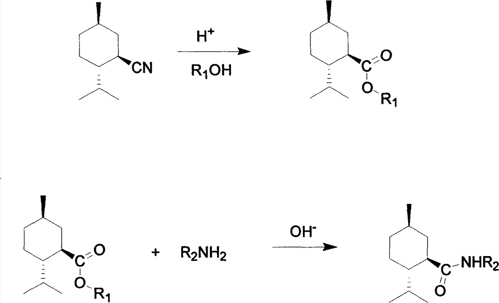 Synthesis method of menthyl amide cooling agent