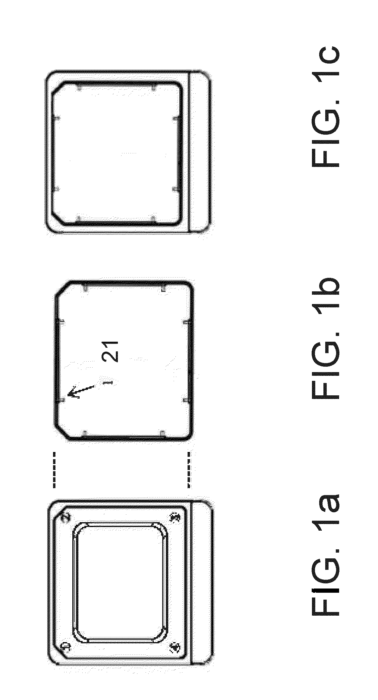 Container for culturing, micro manipulation and identification of small specimens