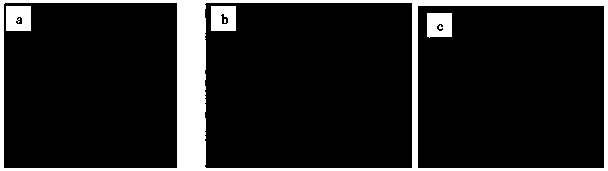 A test device and method for simulating stratum loss caused by stratum voids in subway shield tunnels