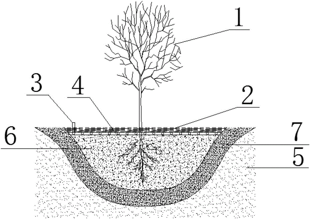 Plant cultivation structure and method in desert area