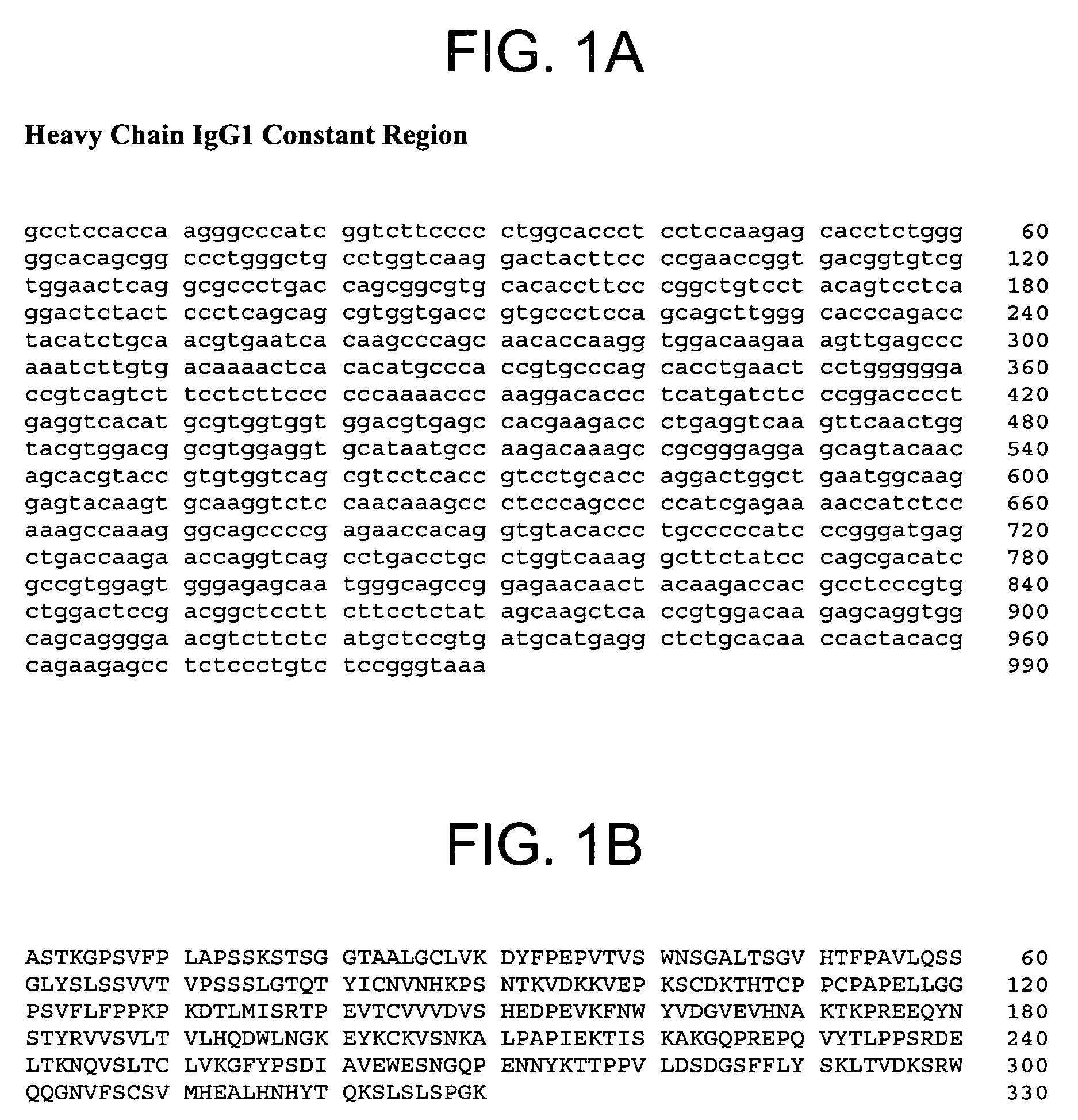 Therapeutic human anti-IL1-R1 monoclonal antibody