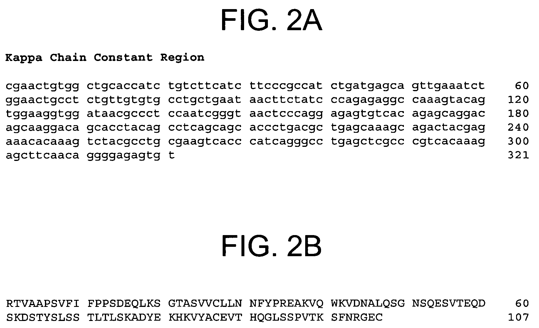 Therapeutic human anti-IL1-R1 monoclonal antibody