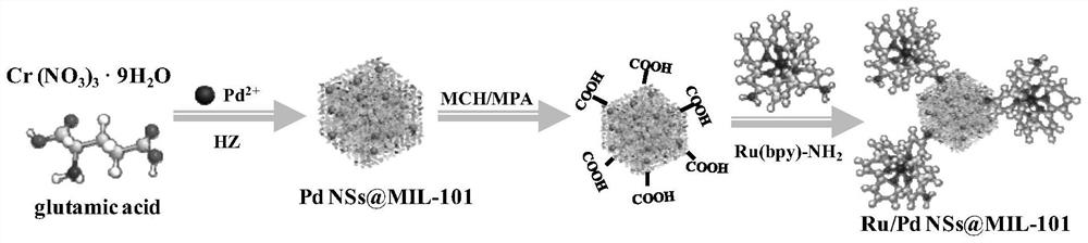 Preparation method of electrochemiluminescence nano illuminant based on aminated bipyridyl ruthenium