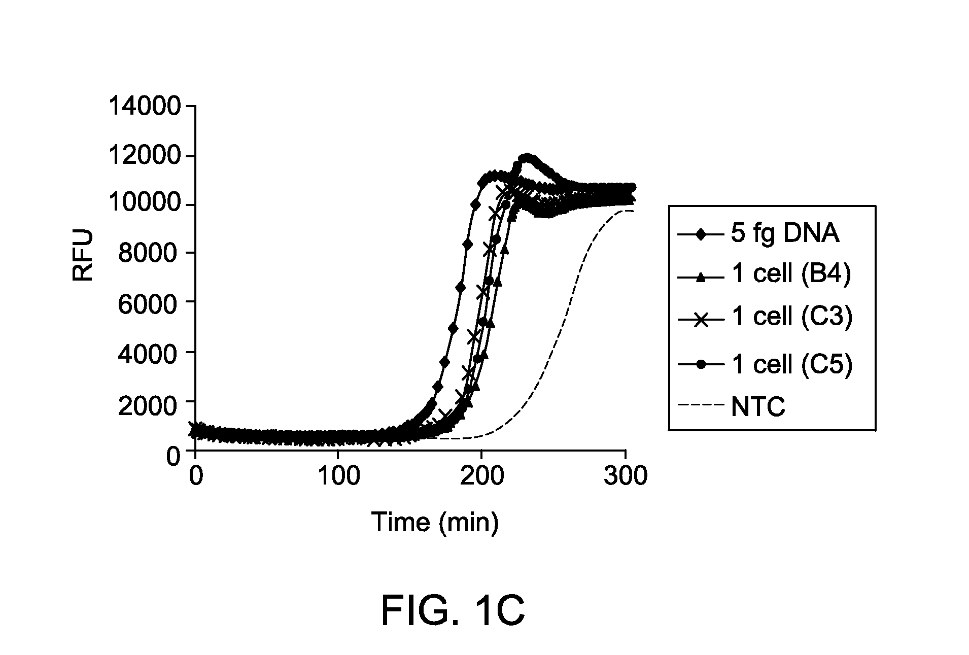 Isothermal amplification under low salt condition