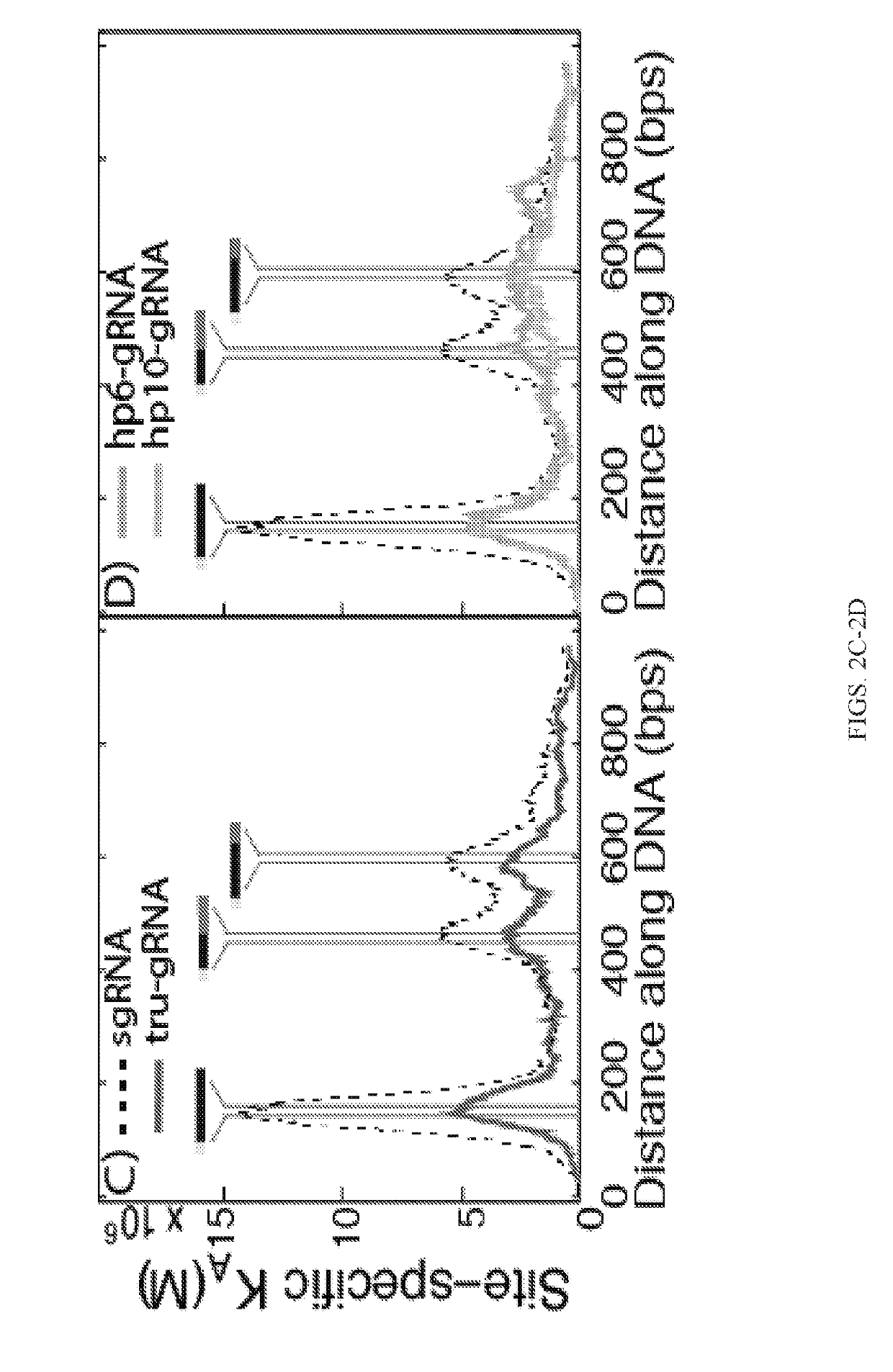 Compositions and methods of improving specificity in genomic engineering using rna-guided endonucleases