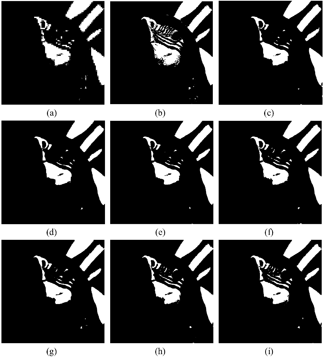 Image super-resolution reconstruction processing method