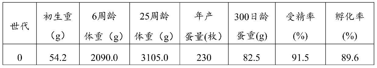 A kind of seed production method of light hemp feather meat duck