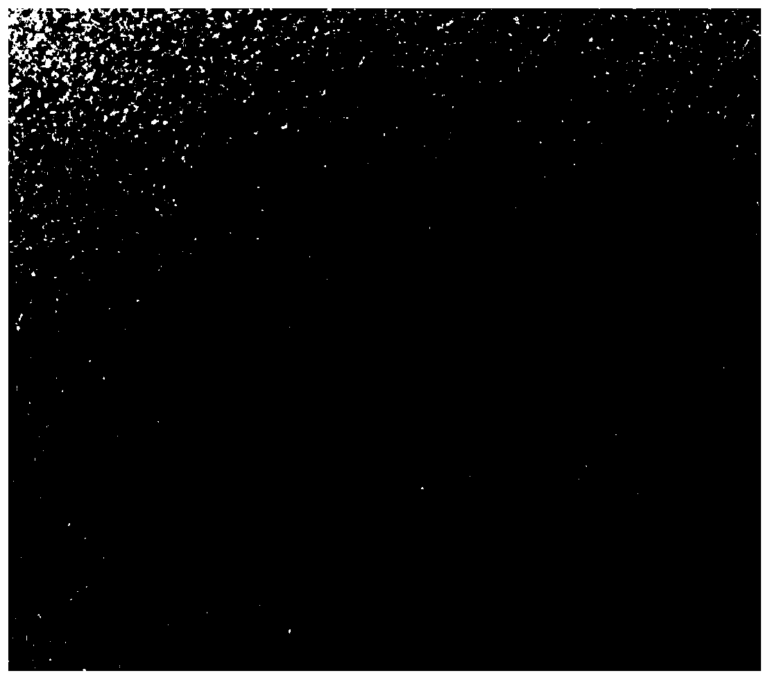 Energy-containing eutectic solvent, application thereof, metal doped carbon quantum dots prepared from energy-containing eutectic solvent, and preparation method of metal doped carbon quantum dots