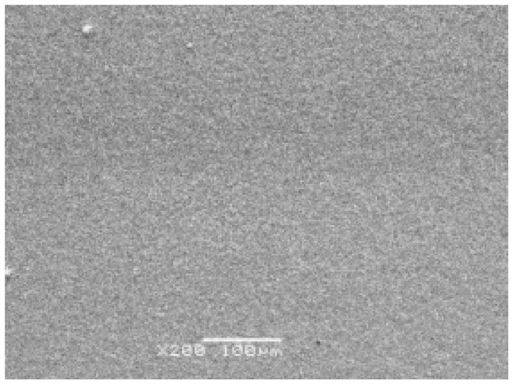 Apparatus and method for increasing the oxygen content of metal powders by ozone oxidation