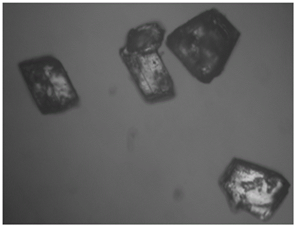 Fluorescent metal-organic framework porous material and preparation method