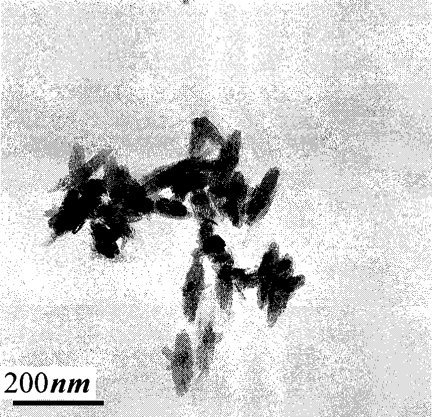 Method for preparing beta-FeOOH nano granule suspension solution