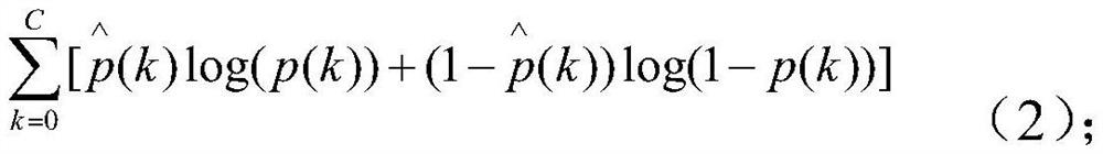 Underground coal flow visual detection method