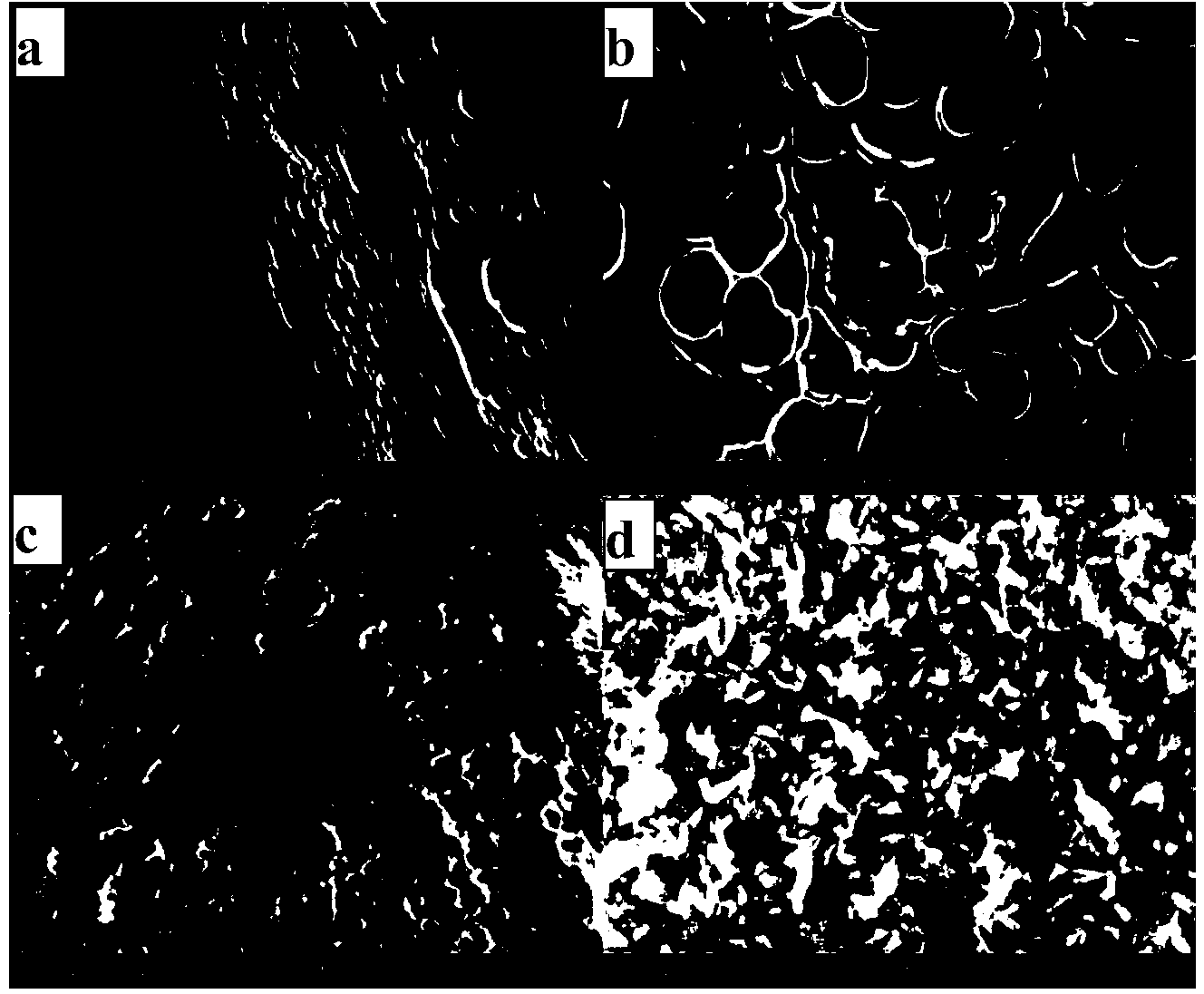 Artificial articular cartilage material and preparation method thereof