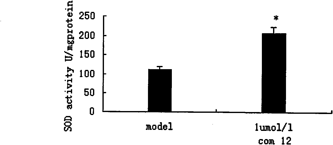 Danshensu derivatives and synthesis method and application thereof